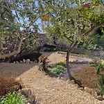 Ribica Pensión Rab Town