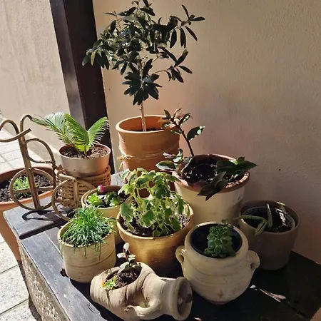 Vendégház Ribica Rab Town