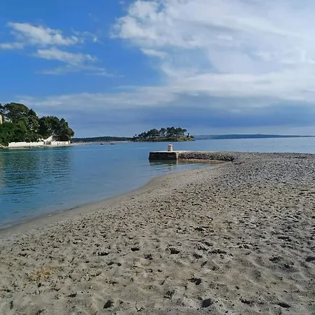 Pensionat Ribica 3*